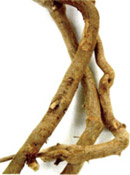 Siberian Ginseng